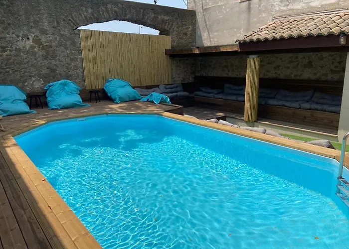 T3 Bis Bord Du Canal Du Midi Piscine