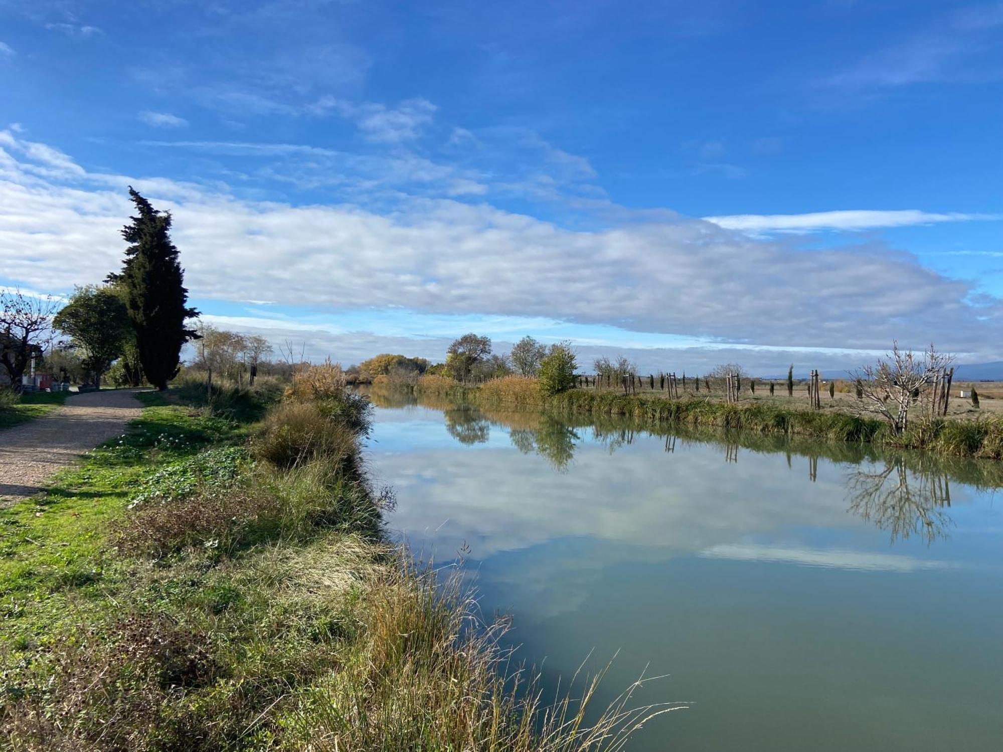 T3 Bis Bord Du Canal Du Midi Piscine